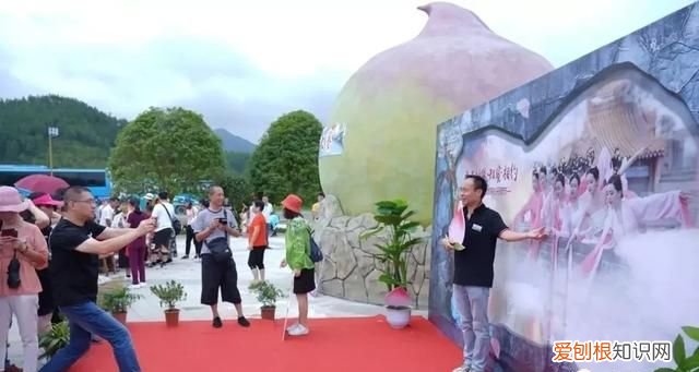 移动锦鲤卡套餐介绍,广东省内游两天一夜哪里最划算最好玩