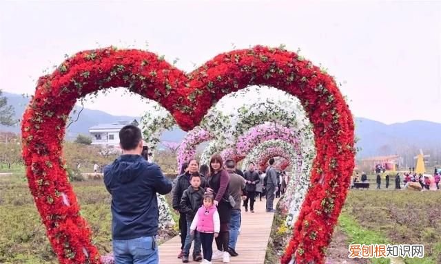 移动锦鲤卡套餐介绍,广东省内游两天一夜哪里最划算最好玩