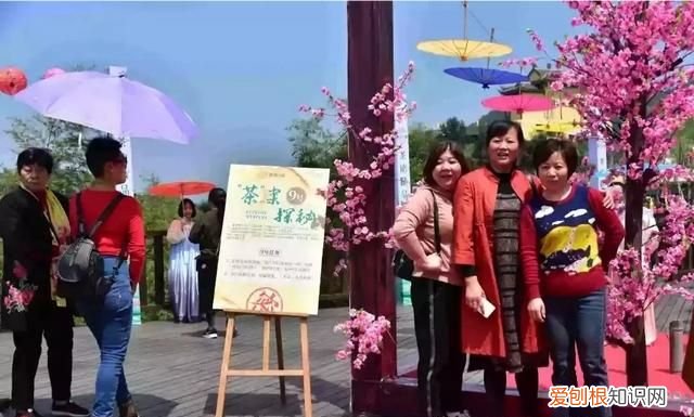 移动锦鲤卡套餐介绍,广东省内游两天一夜哪里最划算最好玩