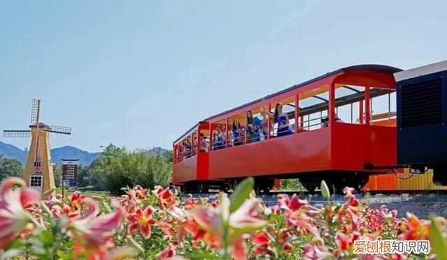 移动锦鲤卡套餐介绍,广东省内游两天一夜哪里最划算最好玩