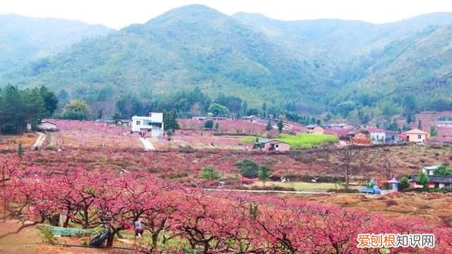 移动锦鲤卡套餐介绍,广东省内游两天一夜哪里最划算最好玩