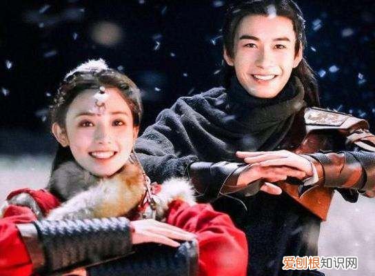 裴照喜欢九公主，东宫裴照是好人吗