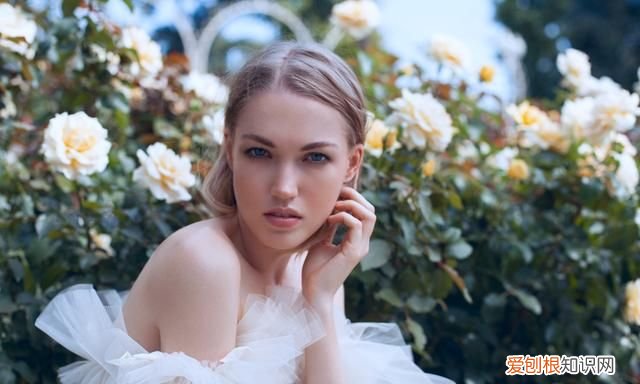 你知道ps的含义吗英文,ps是代表什么