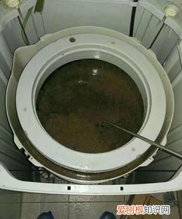 洗衣机用什么清洗效果最好，洗衣机怎么用盐和白醋清洗