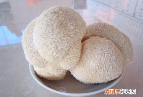 猴头菇可以冷冻保存吗