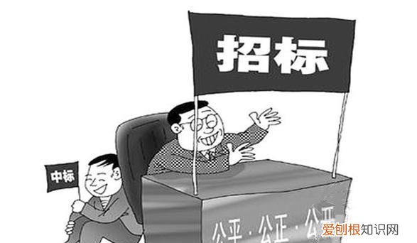 帮人投标算是什么罪,陪标处罚公司还是个人