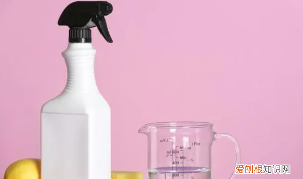 猫身上的跳蚤怎么清除，猫咪有跳蚤家里环境怎么驱虫