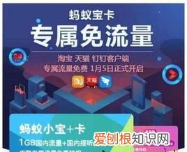 宝卡pro套餐内容,蚂蚁宝卡pro套餐内容