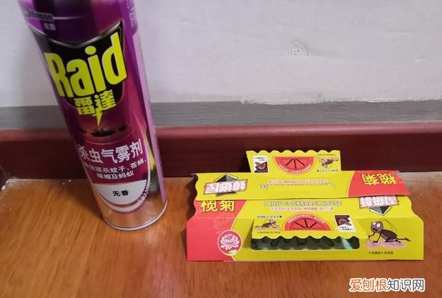家里小蟑螂很多怎么办,家里小蟑螂特别多怎么办