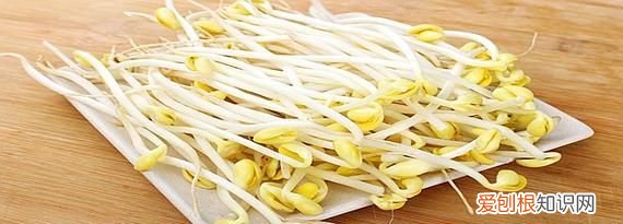 黄豆芽放冰箱能放几天,豆芽不放冰箱能放几天