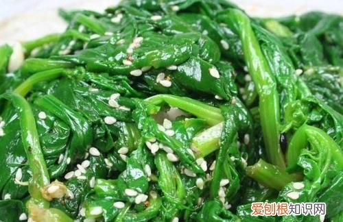 吃菠菜要注意些什么,菠菜饲料可以喂孔雀鱼