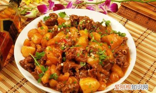 烧鹅的正宗做法，烧鹅的做法与配方