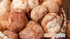 猴头菇煲是凉还是热，猴头菇是热性还是凉性