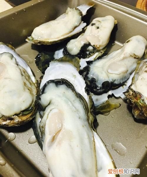 生蚝怎么看死活,怎样辨别牡蛎死活