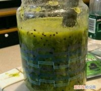 猕猴桃可以泡酒喝吗，猕猴桃怎么泡酒才好喝