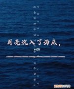当月亮沉入了海底是什么歌
