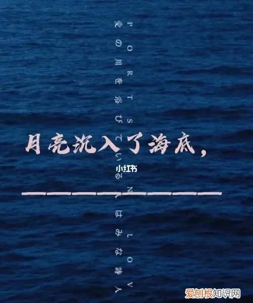 当月亮沉入了海底是什么歌