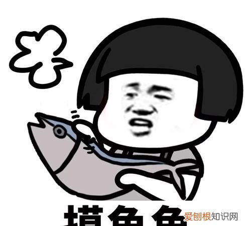 微信状态摸鱼是什么意思,微信状态背景图怎么设置文字