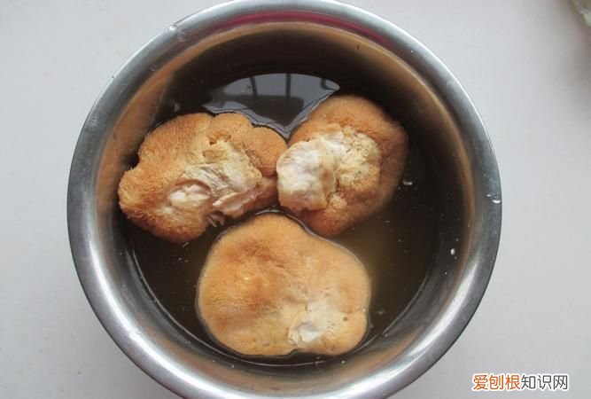 猴头菇怎么泡发才不苦