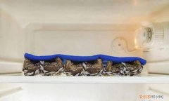 熟大闸蟹冰箱能放几天，大闸蟹煮熟放冰箱两天还能吃