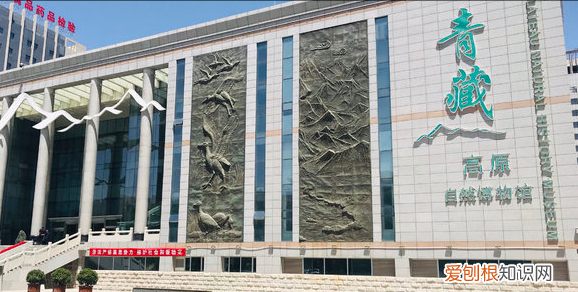 西宁周边免费自驾游景点 青海省西宁市有哪些景点