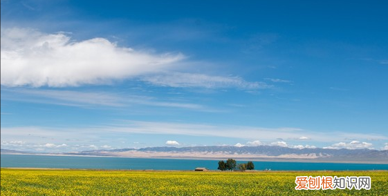 西宁周边免费自驾游景点 青海省西宁市有哪些景点