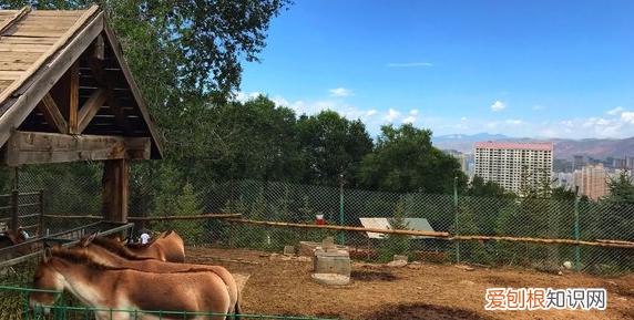 西宁周边免费自驾游景点 青海省西宁市有哪些景点