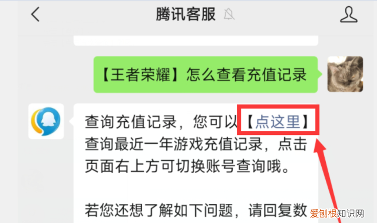 王者荣耀怎样才可以查充值记录