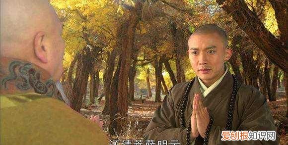 西游记乌巢禅师被谁收服 西游记中的乌巢禅师有多少法力