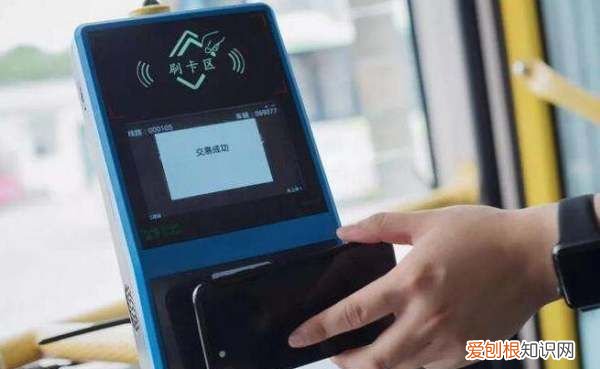 支付宝账单报告怎么看，2020支付宝年度账单怎么查询