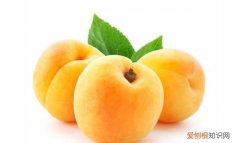 黄桃和苹果哪个热量高