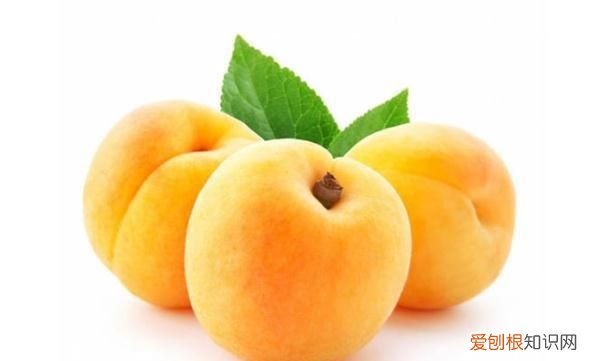 黄桃和苹果哪个热量高