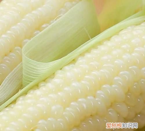 玉米面颜色怎么变黄，白色玉米煮熟怎么变黄了