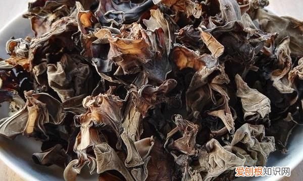 木耳过期了还能吃吗