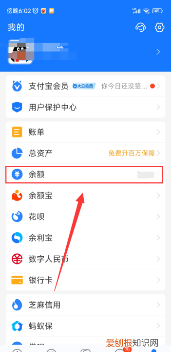怎样才可以查支付宝余额,支付宝的零钱通在哪里查