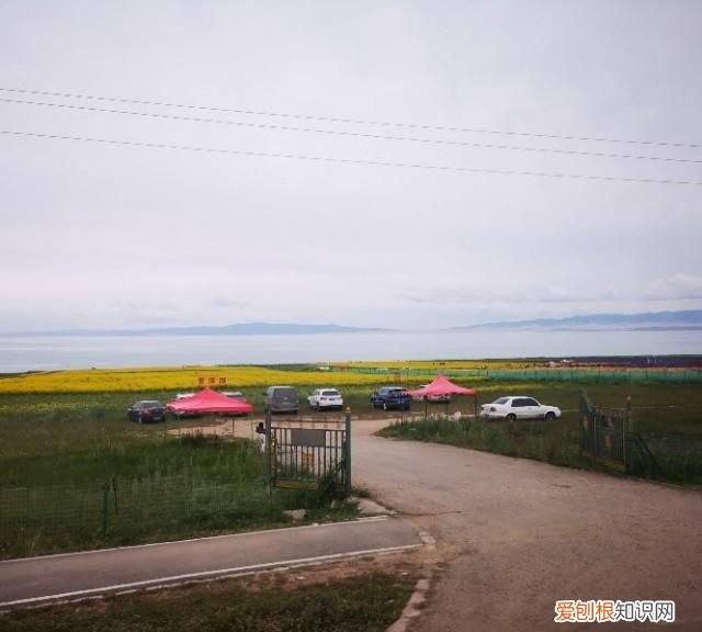 大西北之旅之茶卡盐湖青海湖,大西北之旅青海湖下