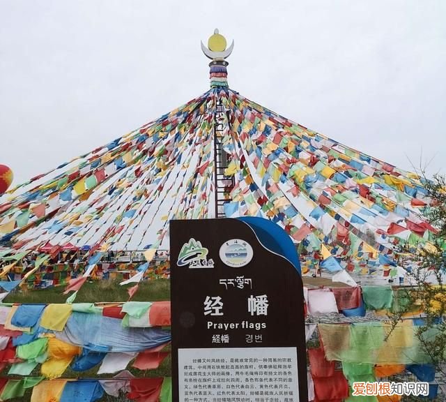 大西北之旅之茶卡盐湖青海湖,大西北之旅青海湖下