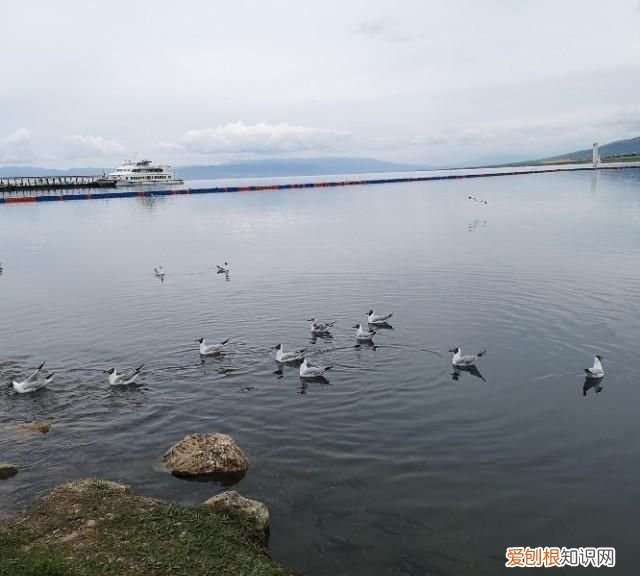 大西北之旅之茶卡盐湖青海湖,大西北之旅青海湖下
