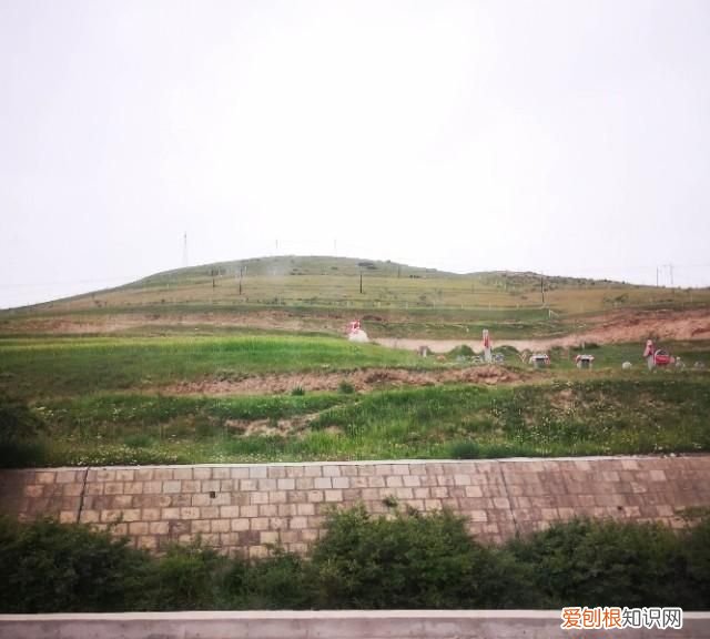 大西北之旅之茶卡盐湖青海湖,大西北之旅青海湖下