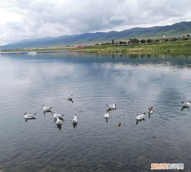 大西北之旅之茶卡盐湖青海湖,大西北之旅青海湖下