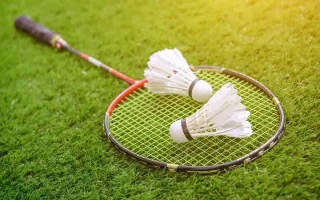 如何挑选合适的羽毛球拍?