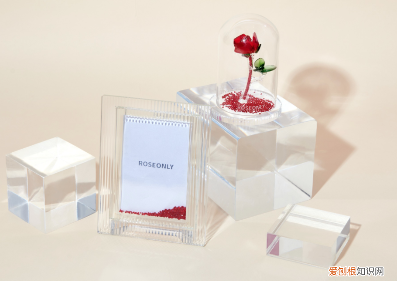 ROSEONLY全新耀目之礼