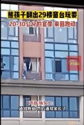 湖南3名小孩翻出29楼窗户玩耍