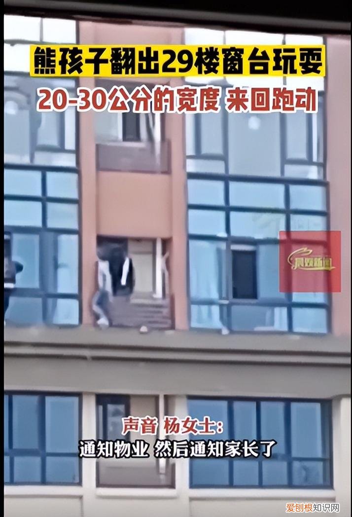 湖南3名小孩翻出29楼窗户玩耍