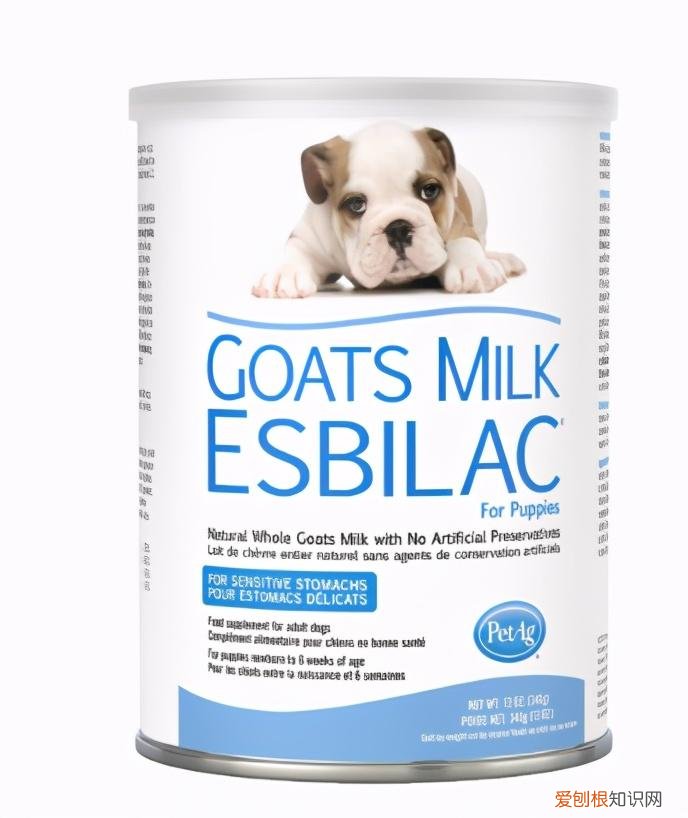 实测美国petag猫狗1段奶粉