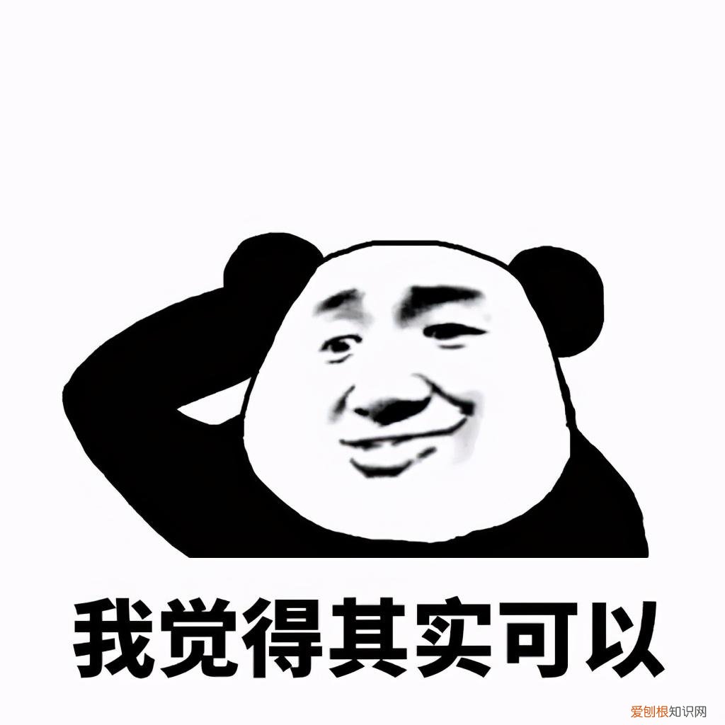 实测美国petag猫狗1段奶粉