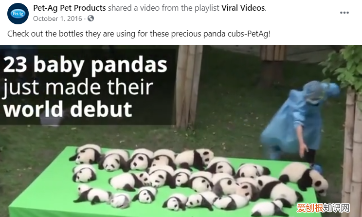 实测美国petag猫狗1段奶粉