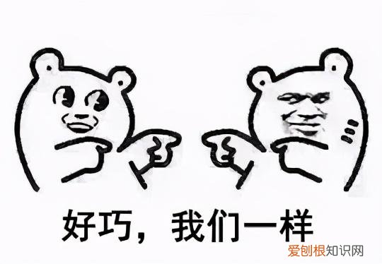 实测美国petag猫狗1段奶粉