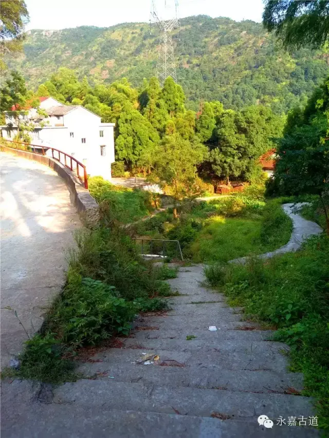 温州永嘉西叶岭古道,乡愁依旧