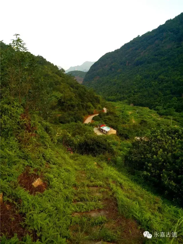 温州永嘉西叶岭古道，乡愁依旧